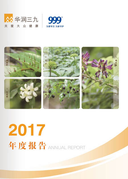 尊龙时凯：2017年年度报告